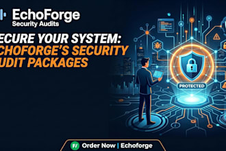 audit your web app security and deliver a vulnerability report