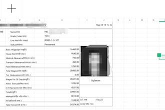 accurate data entry, copy paste, typing and excel tasks
