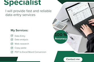 provide data entry copy paste web research and ms excel work