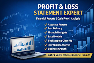 prepare profit and loss statement and financial analysis