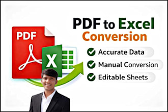 convert PDF to excel, PDF to spreadsheet, data entry and formatting
