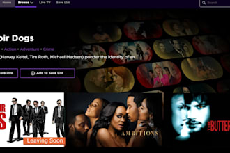 develop roku channel, roku sdk, roku app, amazon tv, apple tv, radio tv channel