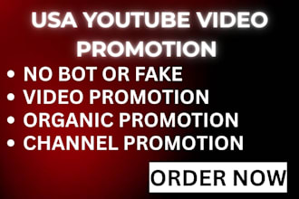 do USA youtube promotion video promotion monetisation