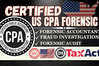 do forensic accounting audit fraud investigation with detailed financial reports