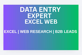 data entry, web research, b2b lead generation in excel sheet
