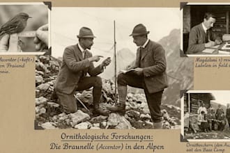 conduct professional genealogy research into your german ancestors