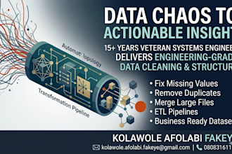clean your messy data and present an executive dashboard