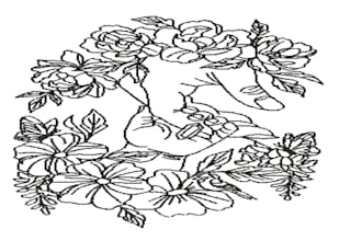 digitize line art embroidery using wilcom e4 in emb dst pes jef vp3 xxx