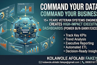 present executive dashboards and data visualization