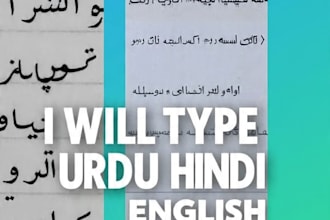 do fast roman urdu to urdu typing, data entry, PDF to word
