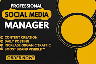 manage your social media accounts with content creation and scheduling