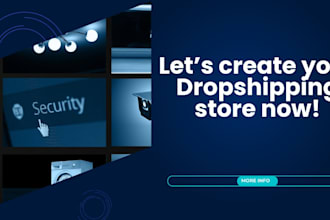 build shopify store, design shopify store, dropshipping ecommerce store