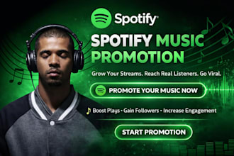 professional spotify music promotion