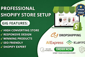 design profitable shopify droshipping store redesign website