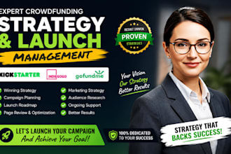 provide expert kickstarter, indiegogo, and gofundme crowdfunding strategy