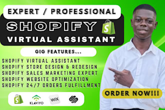be your expert shopify virtual assistant for store management and growth