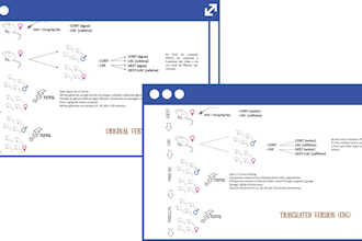 translate your project from portuguese to eng and vice versa