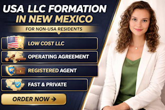 do USA llc formation in new mexico for non USA resident