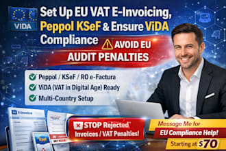 set up eu vat e invoicing,peppol ksef, ensure vida compliance to avoid penalties