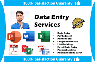professional data entry and excel copy paste work