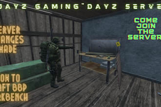 build fivem, dayz, rust, scum, maps, mods, skins, scripts for server