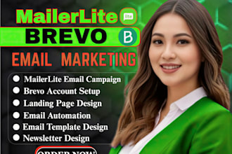 setup brevo mailerlite beehive newsletter brevo automation beehive landing page