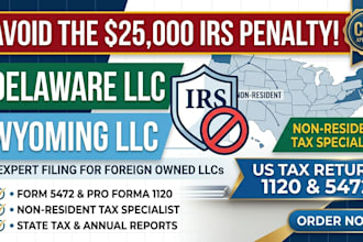 file delaware llc wyoming llc tax return as CPA