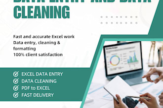 do data entry data cleaning and invoice work