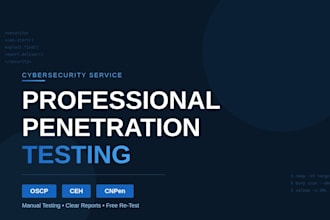 perform professional web application penetration testing