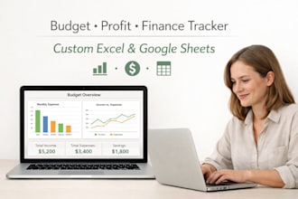 create a budget, profit and financial tracking spreadsheet and timesheet