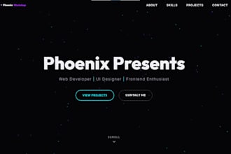 design a professional responsive portfolio website