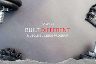 create a custom muscle building workout plan