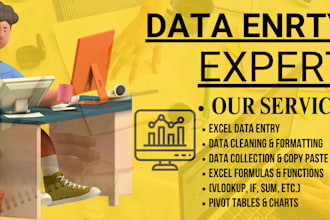handle data entry tasks