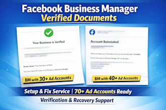 manage, fix, and provide facebook business manager services