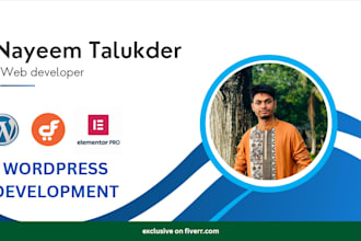 design, build, redesign, develop, clone, update, or customize wordpress website