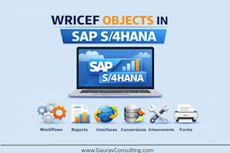 develop wricef , cds views, fiori apps , API , rap , cpi,