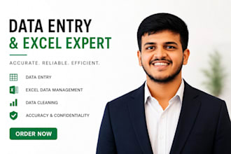 be your professional data entry and excel expert