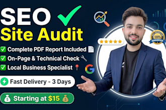 do a professional seo site audit for your local business website