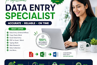 accounting and financial data entry tasks