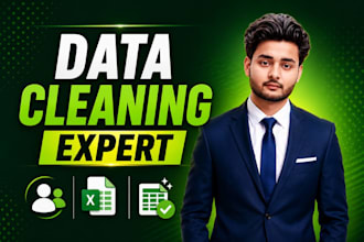 do excel data cleaning, formatting, and spreadsheet cleanup