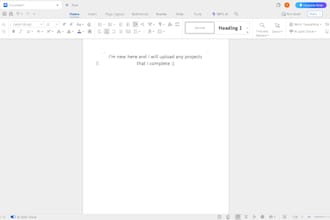 pdf conversion , data entry and well done documents