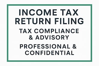 handle income tax returns, tax compliance and advisory professionally