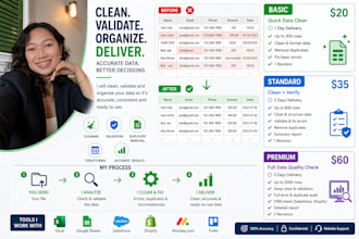 do accurate data cleaning, validation, and spreadsheet audit