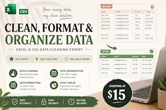 clean, format and organize your excel or CSV data accurately