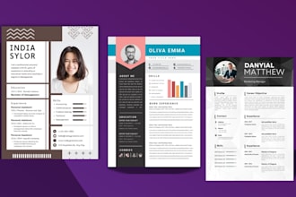 craft an infographic, style canva resumes
