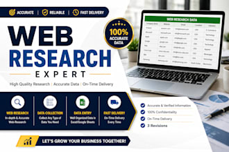 do manual web research and data entry in excel