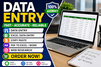 excel data entry expert
