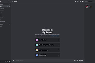 create and setup a professional discord server with bots, roles and channels