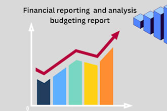 budgeting, financial analysis, and investment research