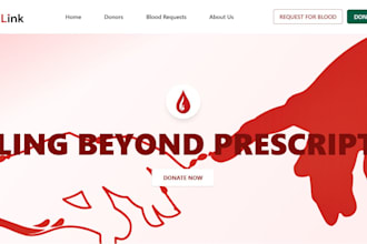 build a django web app, mvp or ecommerce store for your business